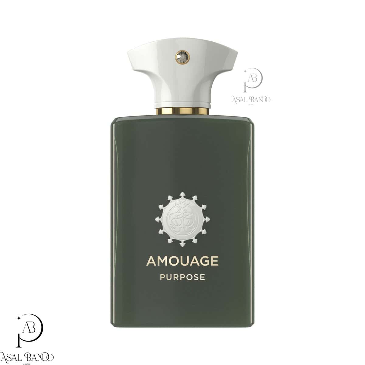 IMG_1848 آمواج پورپوس مردانه – Amouage Purpose Men - تصویر 1
