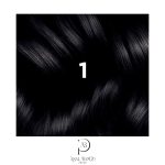فیتو رنگ موی مشکی طبیعی شماره 1 بدون آمونیاک   – Phyto  Coloration Permanente Black Color - تصویر 3